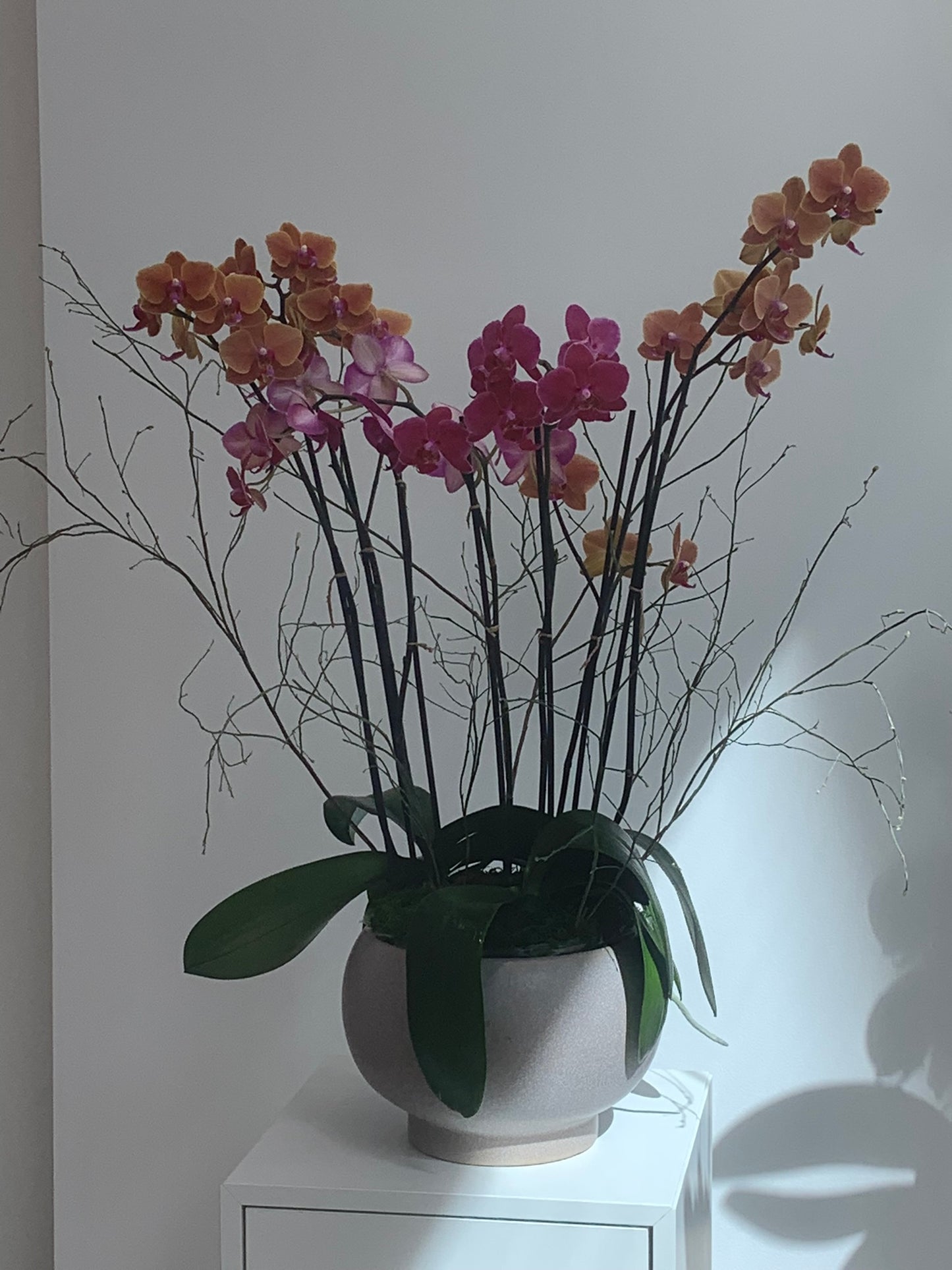 Purple & Moonstone Orchid Arrangement