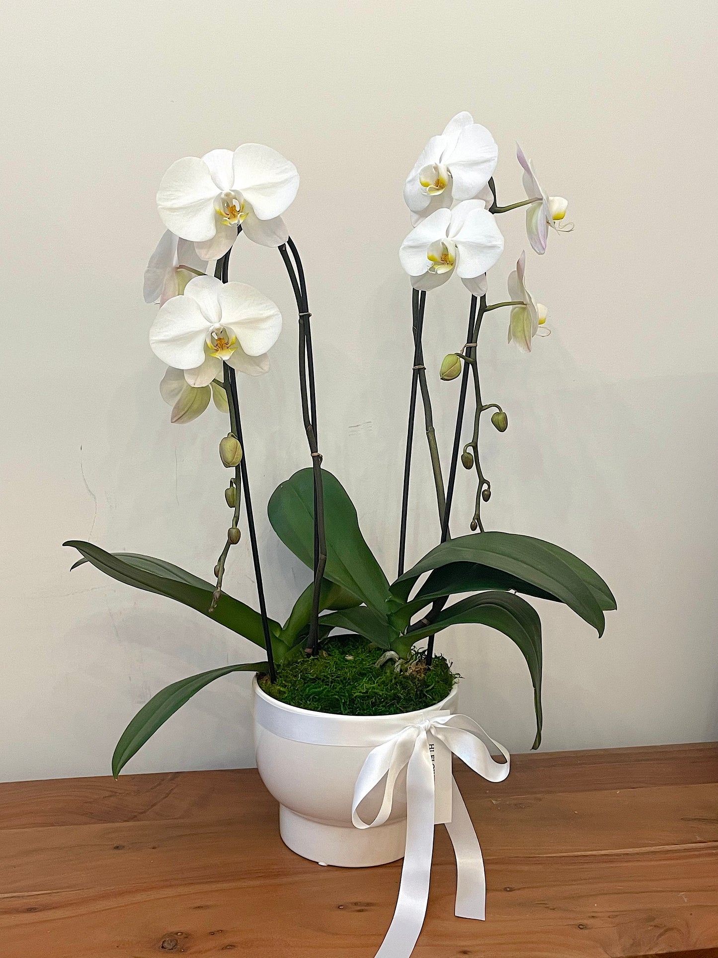 Large White Orchid Arrangement (2 Stems)