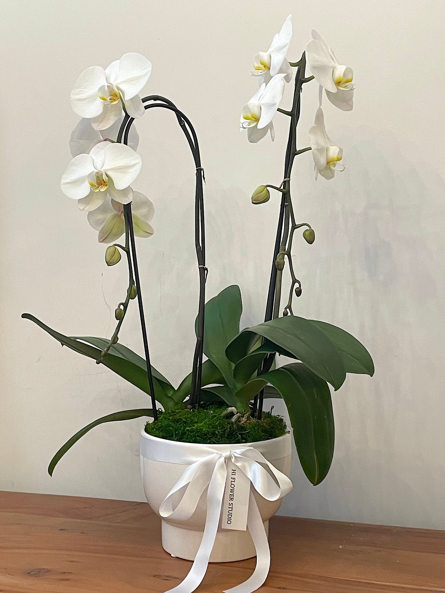 Large White Orchid Arrangement (2 Stems)