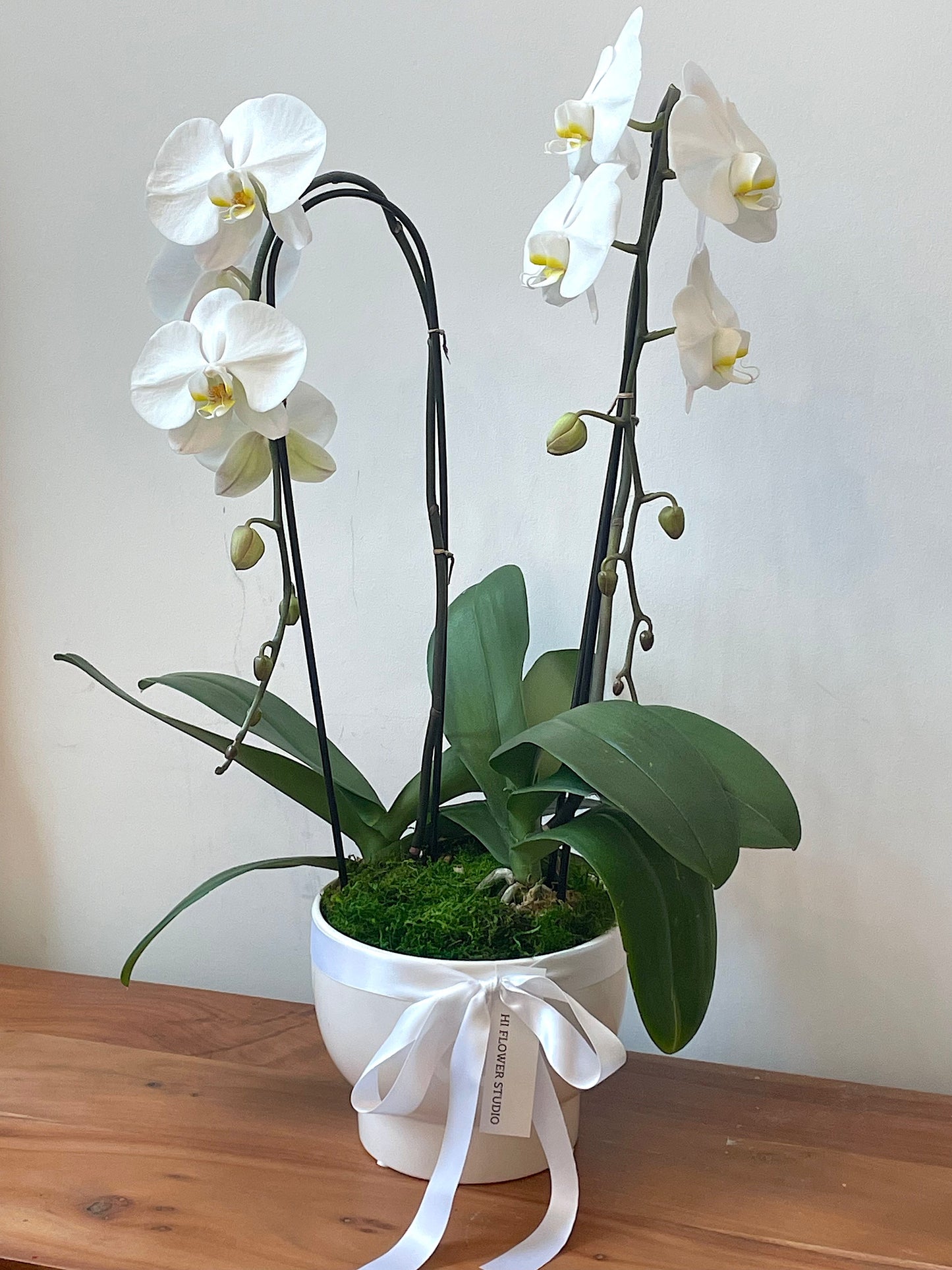 Large White Orchid Arrangement (2 Stems)